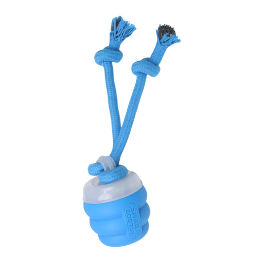 Keep Your Dog Entertained & Anxiety-Free When You Can't Be There