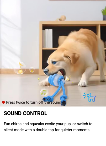 Watch Barkchester United Bring Out Your Dog's Inner Champion!