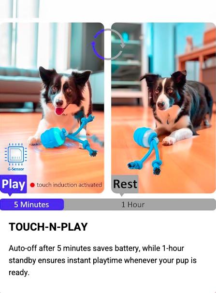 Watch Barkchester United Bring Out Your Dog's Inner Champion!