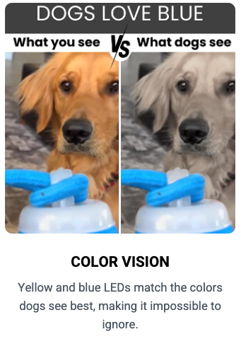 Watch Barkchester United Bring Out Your Dog's Inner Champion!