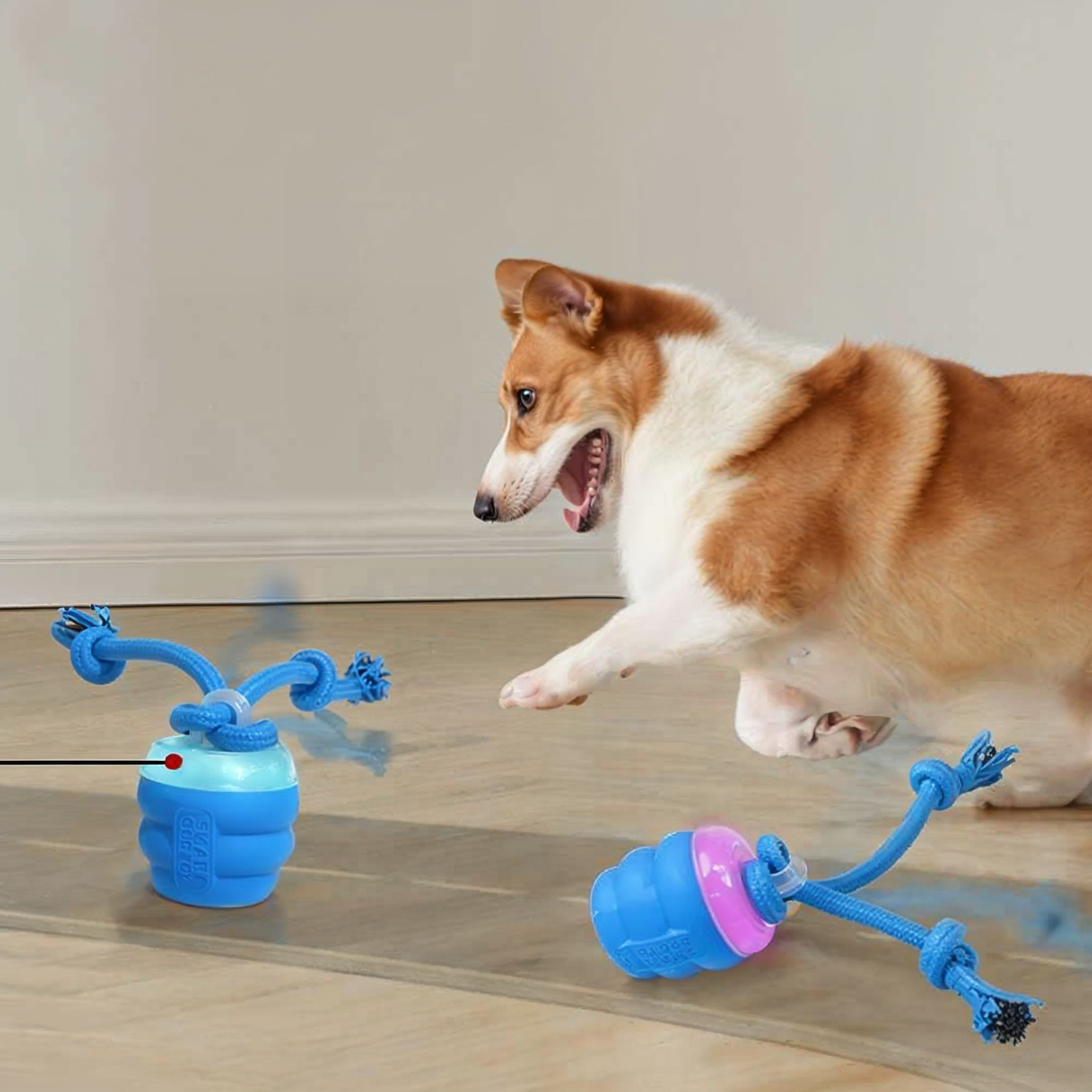 Watch Barkchester United Bring Out Your Dog's Inner Champion!