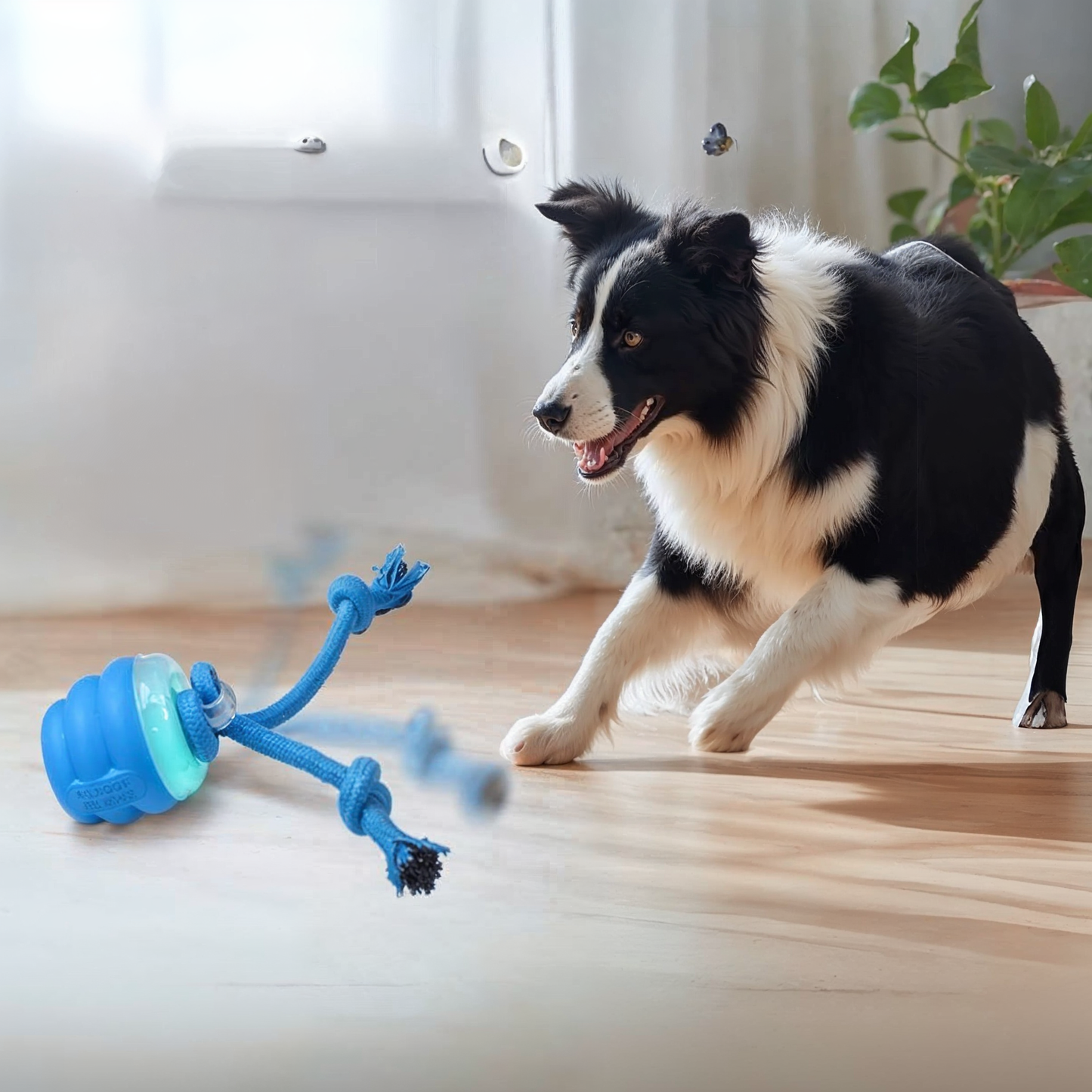 Watch Barkchester United Bring Out Your Dog's Inner Champion!