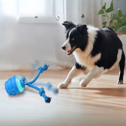 Watch Barkchester United Bring Out Your Dog's Inner Champion!